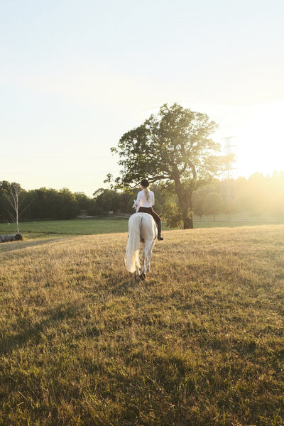 Horses = happiness?